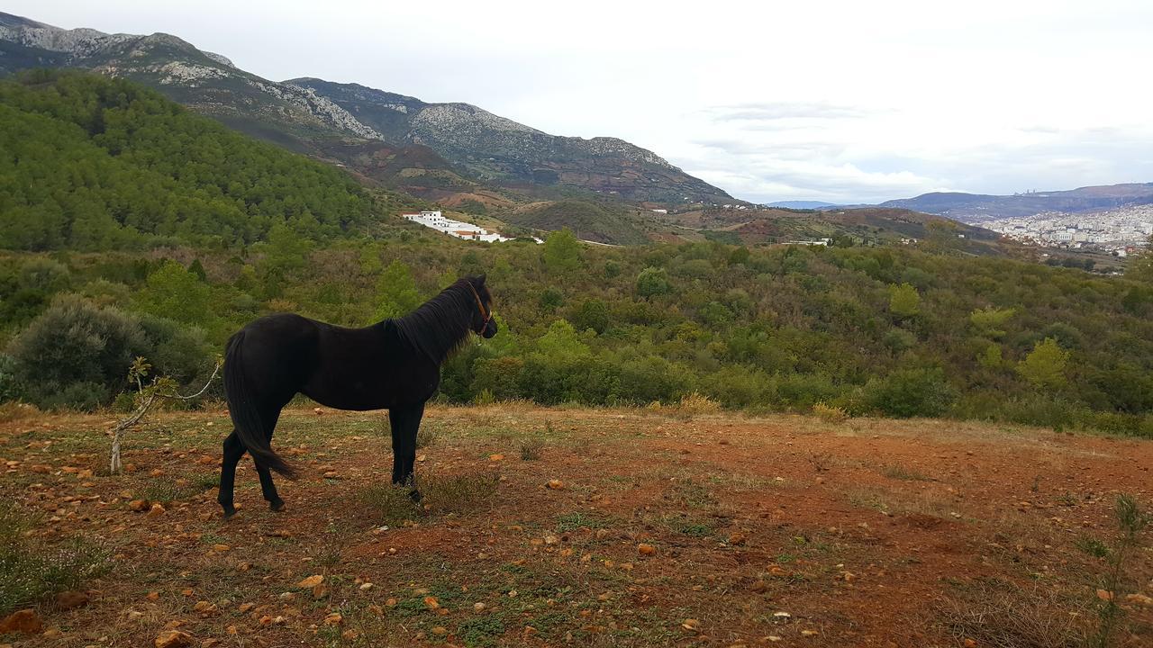 Ferma Jebala Ecolodge Kitane Esterno foto