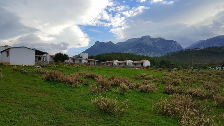 Ferma Jebala Ecolodge Kitane Esterno foto