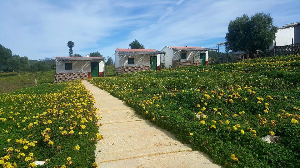 Ferma Jebala Ecolodge Kitane Esterno foto