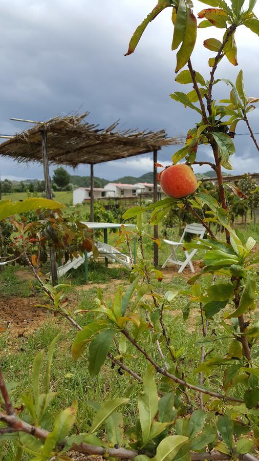 Ferma Jebala Ecolodge Kitane Esterno foto