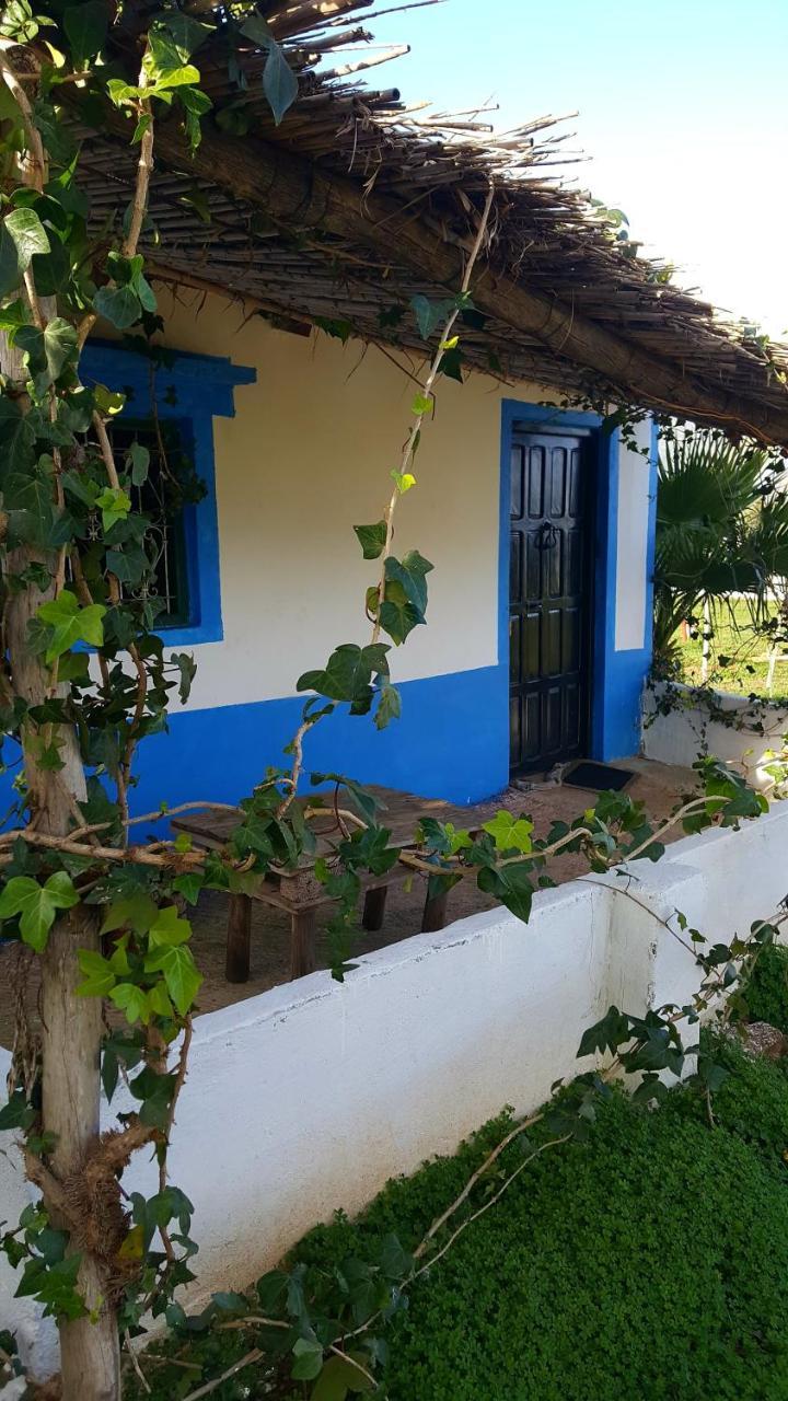 Ferma Jebala Ecolodge Kitane Esterno foto