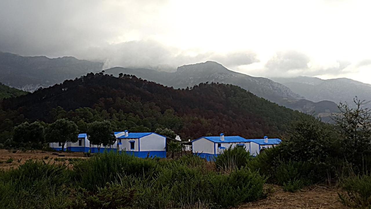 Ferma Jebala Ecolodge Kitane Esterno foto
